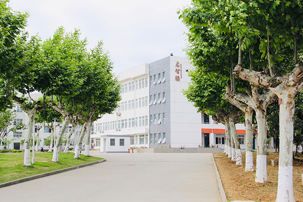 校园环境 校园环境