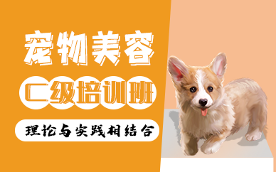 南京宠物美容护理专业培训班