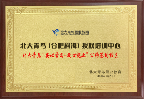 荣誉展示 荣誉展示