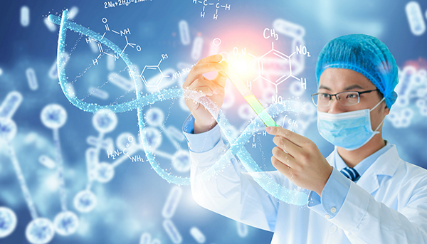 教学体系 教学体系