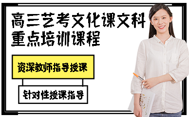 合肥高三艺考文化课文科重点培训课程