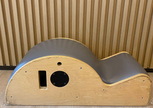 脊柱矯正器 Spine Carr ector 脊柱矯正器 Spine Carr ector