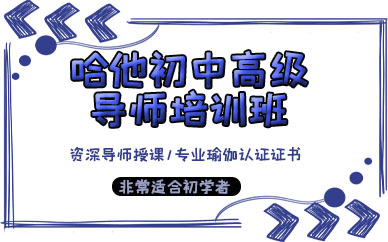珠海哈他初中高级导师培训班
