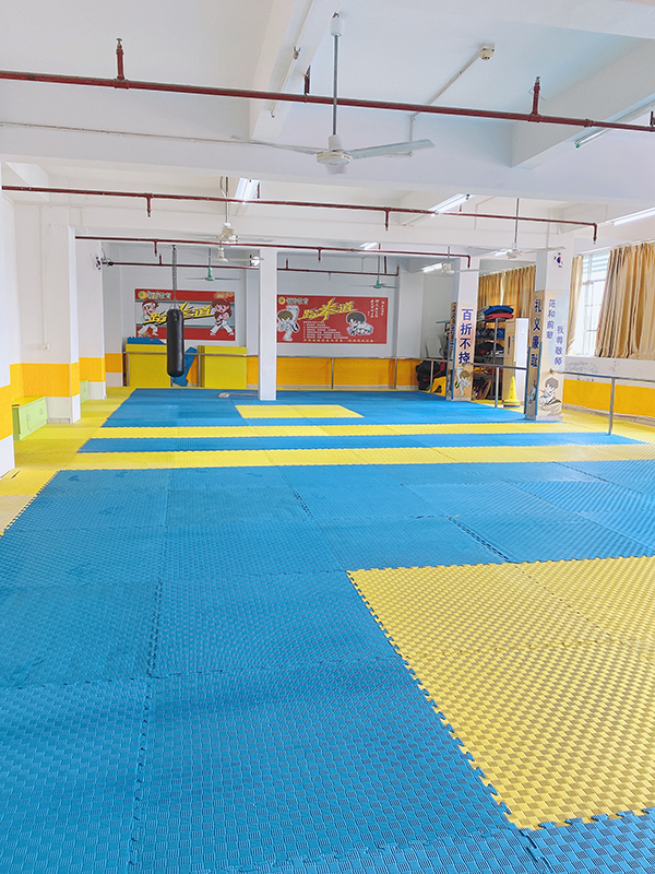 领育校区跆拳道教室