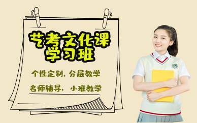 南昌艺考文化课学习班