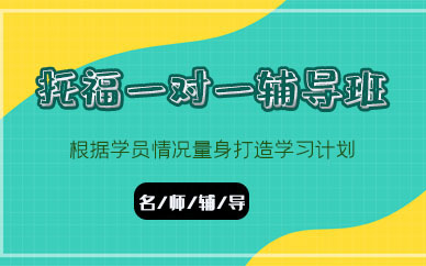 苏州托福一对一辅导班 
