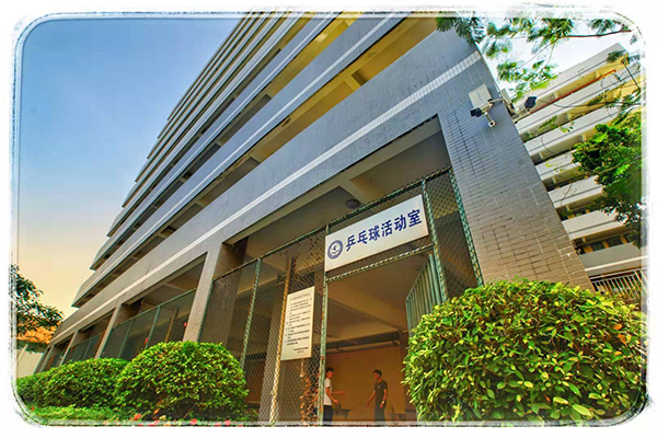 活動(dòng)室 活動(dòng)室