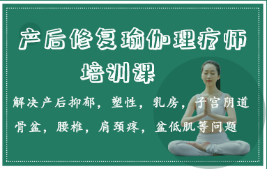 产后修复瑜伽理疗师培训课