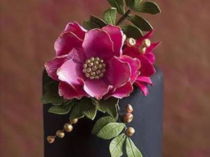 翻糖蛋糕 翻糖蛋糕