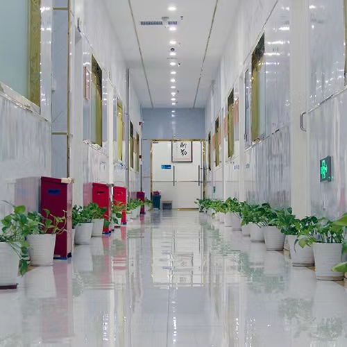 學(xué)校環(huán)境