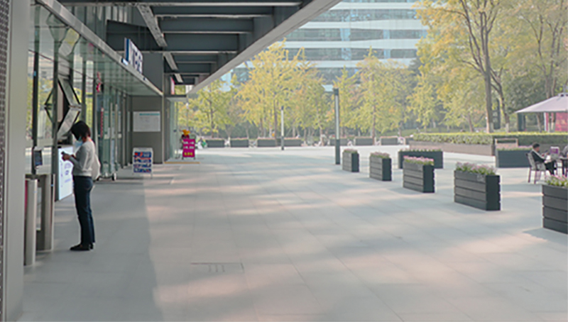 学校环境 学校环境