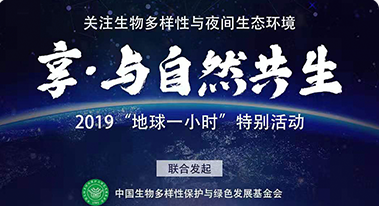 轻享集团环保活动宣传海报设计项目