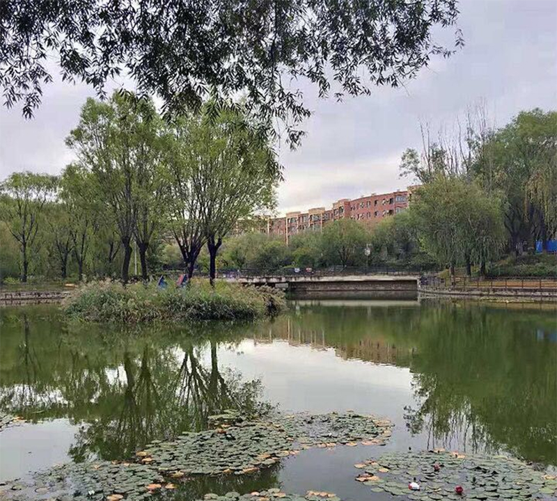 学校风景 学校风景