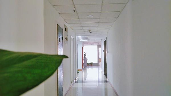 走廊 走廊