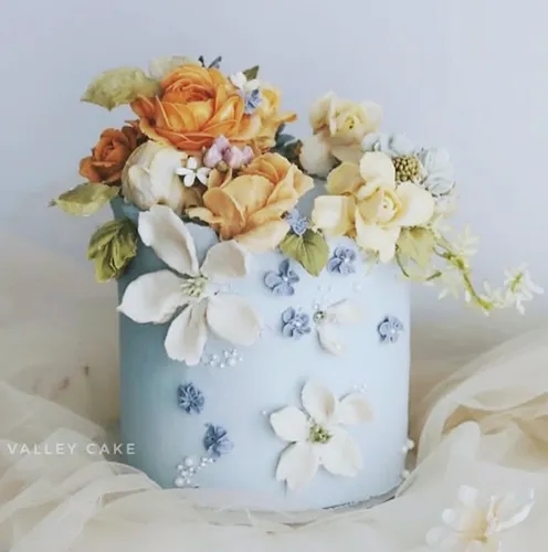 学员作品
