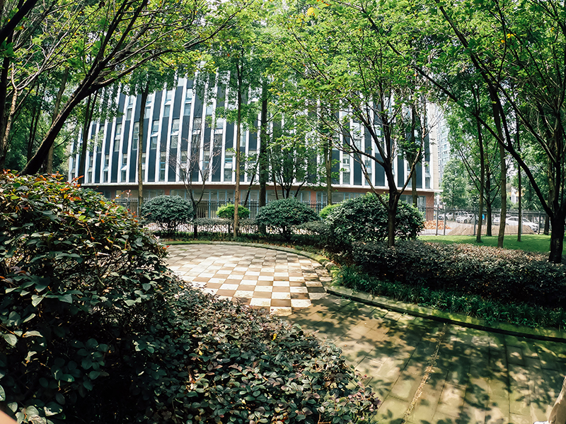 校园环境 校园环境