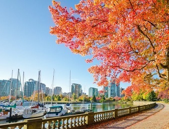 加拿大留学申请 加拿大留学申请