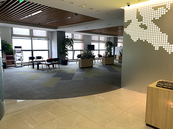 环境展示 环境展示