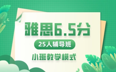 廣州雅思6.5分25人輔導(dǎo)班