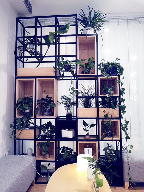 绿植区 绿植区