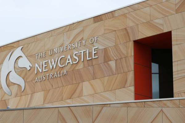 纽卡斯尔大学