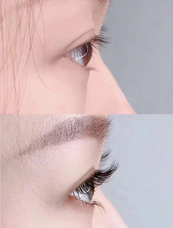 作品展示 作品展示