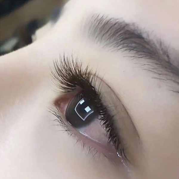 作品分享 作品分享