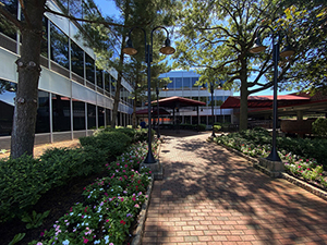 广州美国本科研究生留学申请服务费用一般是多少？