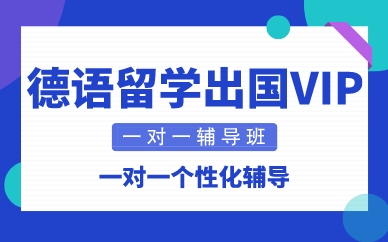 深圳德語留學(xué)出國VIP一對一輔導(dǎo)班