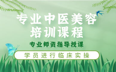 上海专业中医美容培训课程