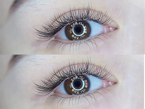 1d8de8289658aef31088cc2c36c6551