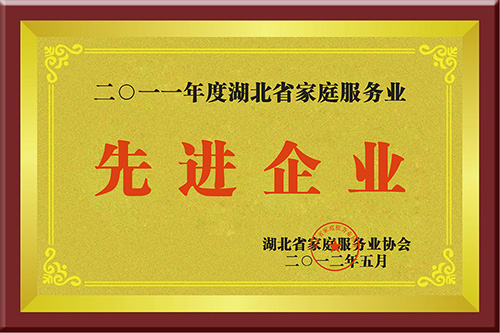 2011年度湖北省家庭服务业先进企业