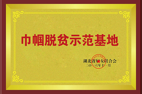 巾帼脱贫示范基地 巾帼脱贫示范基地