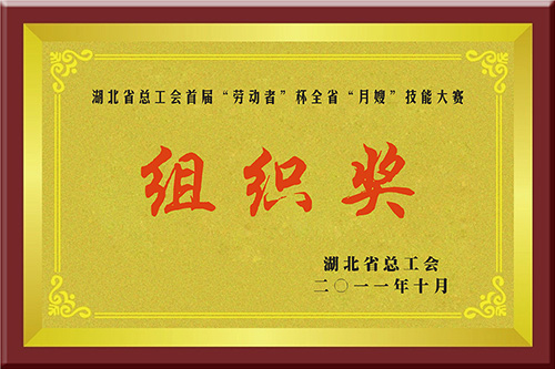 总工会首届“劳动者”杯全省“月嫂”技能大赛组织奖 总工会首届“劳动者”杯全省“月嫂”技能大赛组织奖