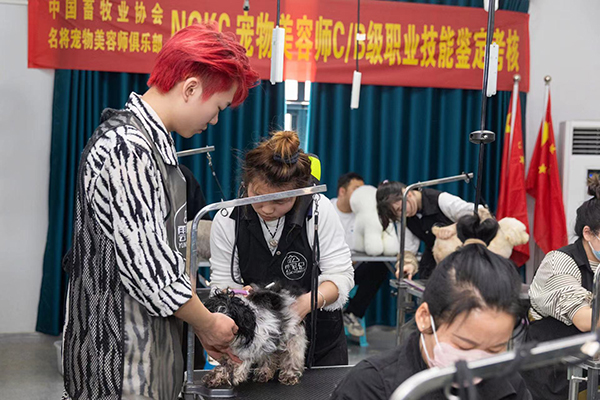 微信图片_20230313123931