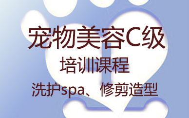 郑州宠物美容C级专业培训课程