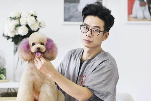 作品展示 作品展示