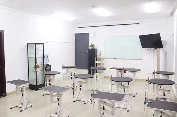 学习环境 学习环境