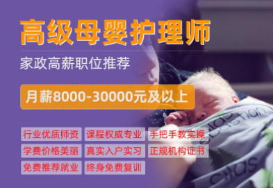 高级母婴护理师