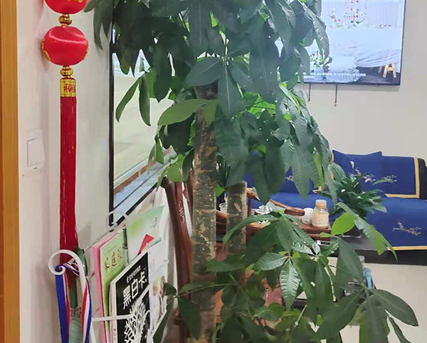 待客区 待客区