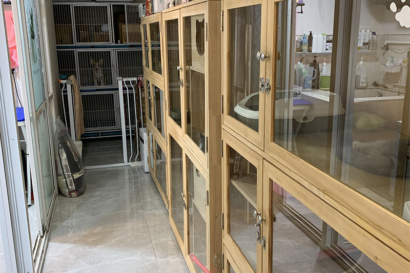 宠物环境 宠物环境