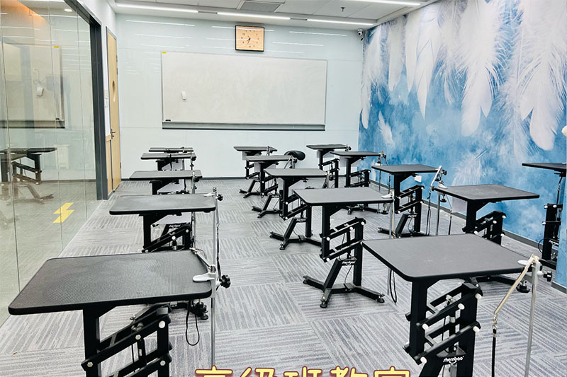 高级教学班 高级教学班