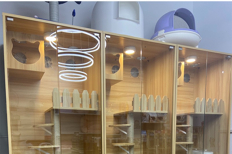 宠物环境 宠物环境