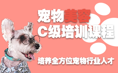 南京宠物美容C级培训课程