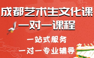 成都艺术生文化课一对一课程