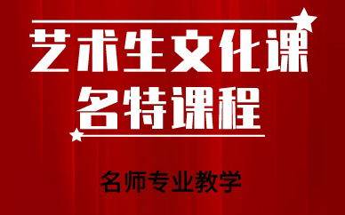 成都艺术生文化课名特课程