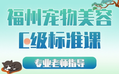 福州宠物美容C级标准课