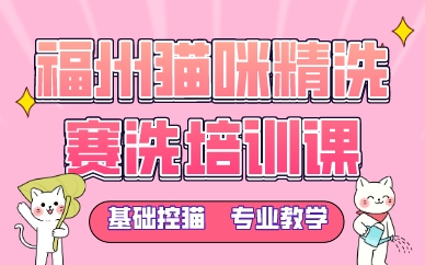 福州猫咪精洗赛洗培训课
