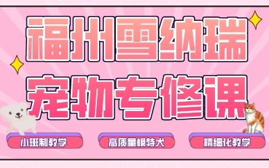 福州雪纳瑞宠物专修课