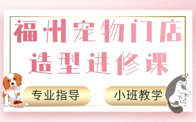 福州宠物门店造型进修课